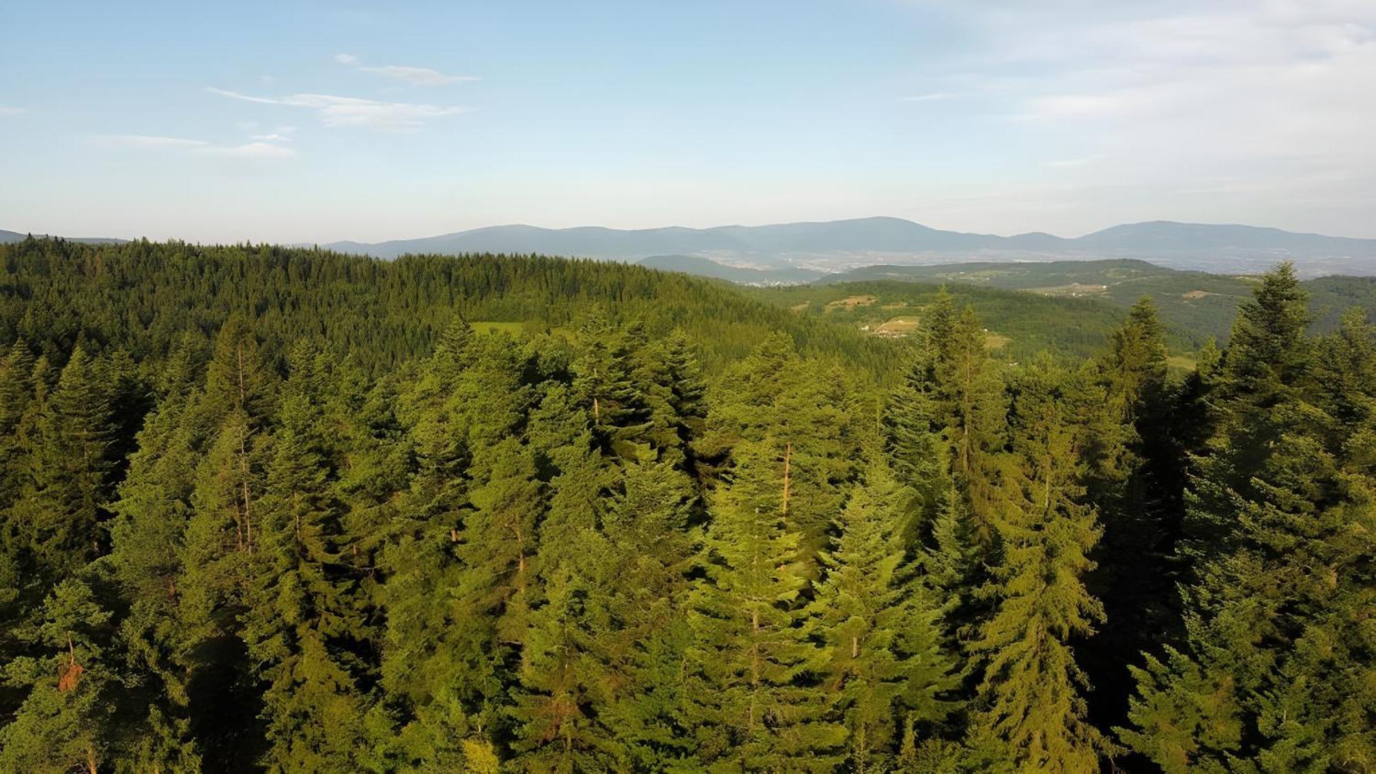 Vila Przystanek Madejowa Jeleśnia Exteriér fotografie