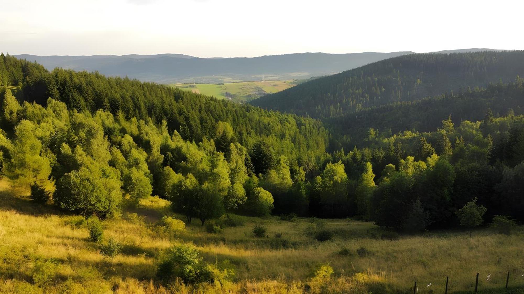 Vila Przystanek Madejowa Jeleśnia Exteriér fotografie